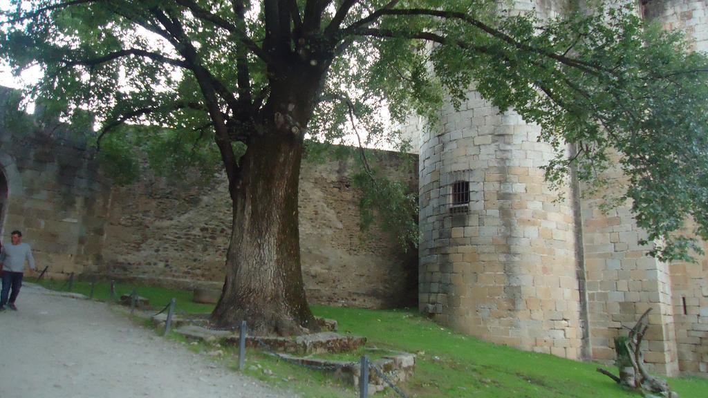 Casas Rurales El Caminante Aldeanueva del Camino Exteriér fotografie